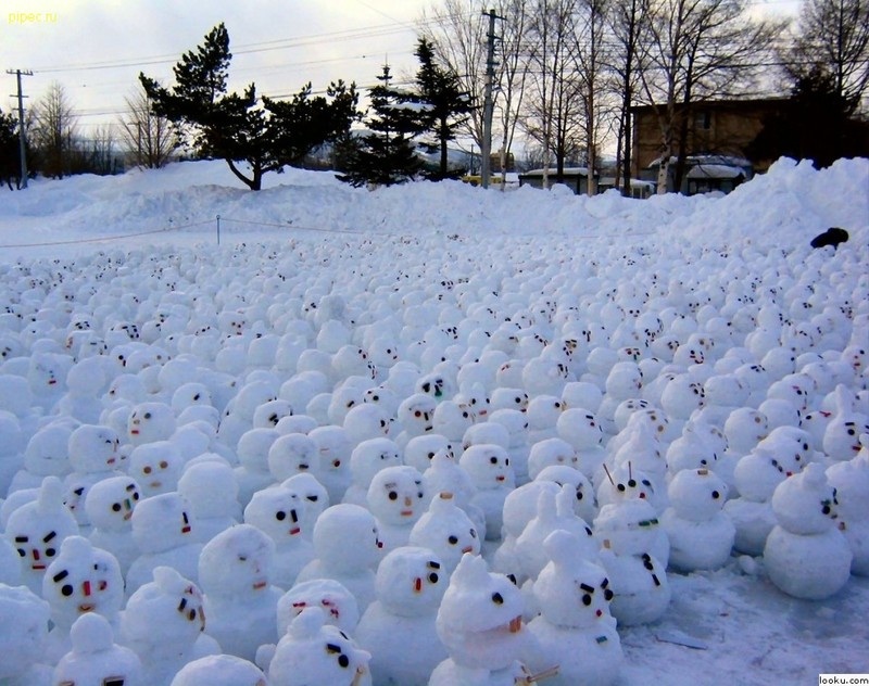 2599-snowmenprotest.jpg