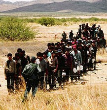 2791-barnett_bp_illegals_line.jpg