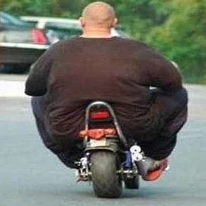 bikes for obese people