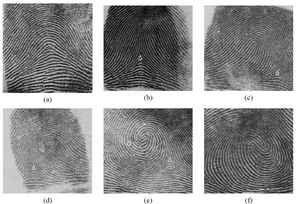 4395-fingerprint2131-thumb-298x204-4394.jpg