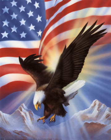 5624-american-eagle-and-flag-ii.jpg