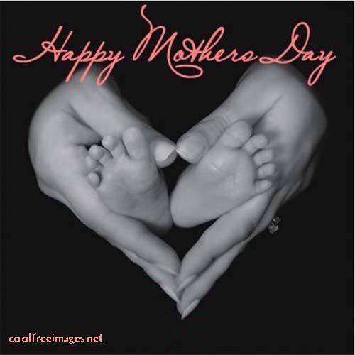 6154-mothers_day_03.jpg