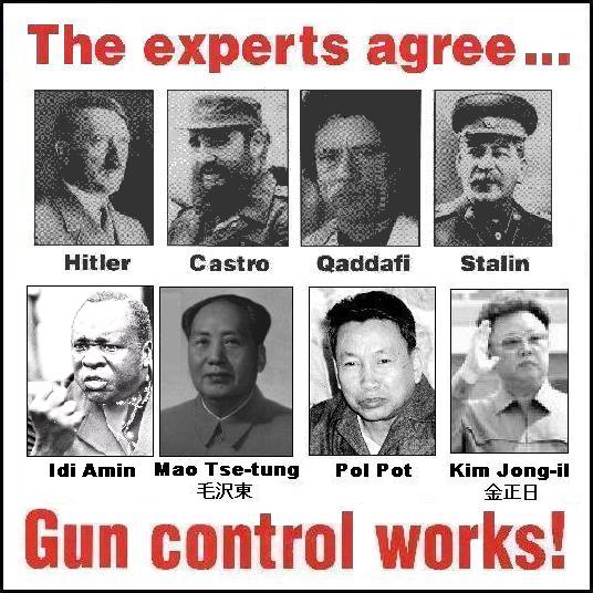 965-experts-agree-on-gun-control.jpg